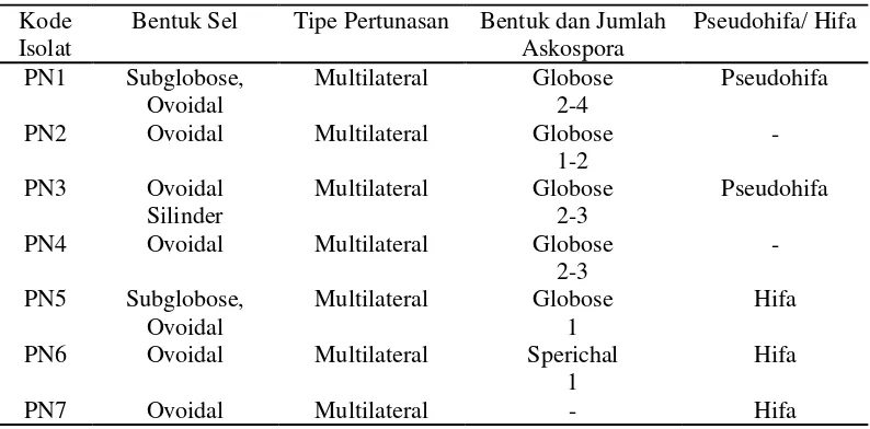 Tabel 2. Karakteristik mikroskopik khamir yang diisolasi dari nira, tuak dan laru asal Pulau Nias 