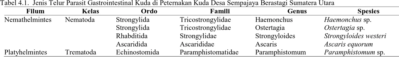 Tabel 4.1.  Jenis Telur Parasit Gastrointestinal Kuda di Peternakan Kuda Desa Sempajaya Berastagi Sumatera Utara Filum Kelas Ordo Famili Genus 