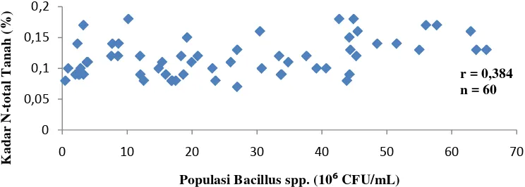 Gambar 2. Grafik Hubungan antara Populasi  Bacillus spp. dengan Kadar N-Total Tanah 