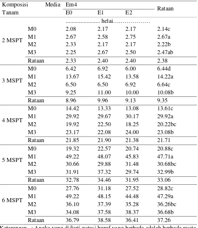 Tabel 2. Rataan jumlah daun tanaman paria (2-6 MSPT) terhadap berbagai  komposisi  media tanam dan pemberian EM4