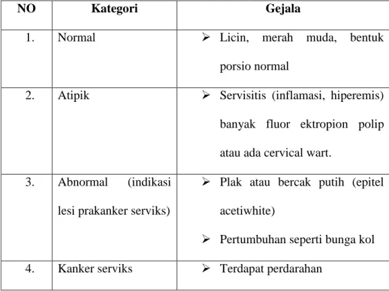 Tabel 2.2 Kategori Temuan IVA  