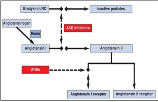 Gambar 2.7    Mekanisme kerja ACE inhibitor dan ARB  Dikutip dari : Macaulay 18