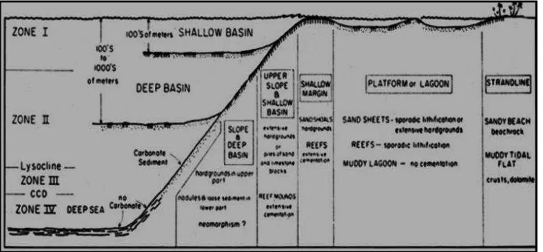 Gambar 2.6. Diagram yang memperlihatkan hubungan antara zona-zona mineral karbonat terhadap lingkungan pengendapan pada laut modern (Sam Boggs, 1978) 