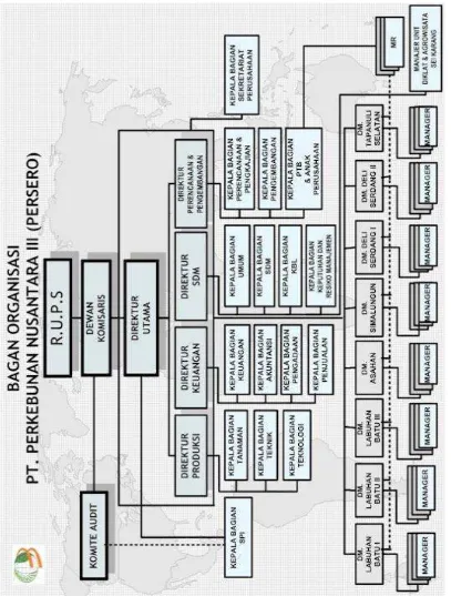 Gambar 4.1 Struktur Organisasi PT. Perkebunan Nusantara III (Persero) Medan 