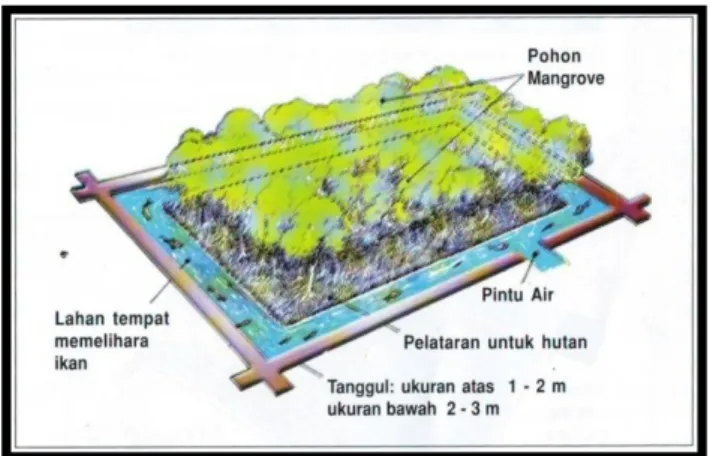 Gambar 8. Model Empang Parit Sederhana 
