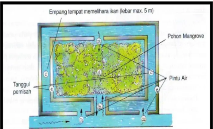 Gambar 9. Model Empang Parit Disempurnakan 