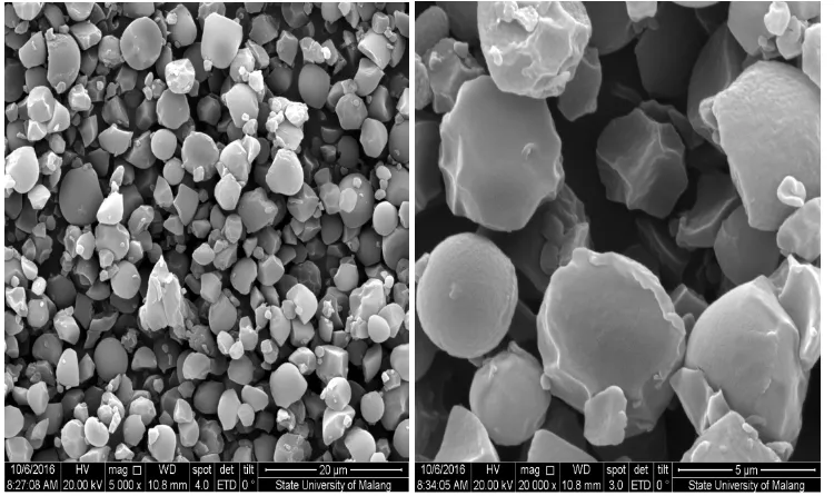 Gambar L4.6   Hasil Analisa SEM (Scanning Electron Microscopy) Bioplastik Pati Biji Durian Tanpa Pengisi Kitosan dan dengan Pemlastis Gliserol 