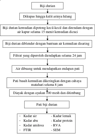 Gambar 3.1 Diagram Alir Isolasi Pati Biji Durian 