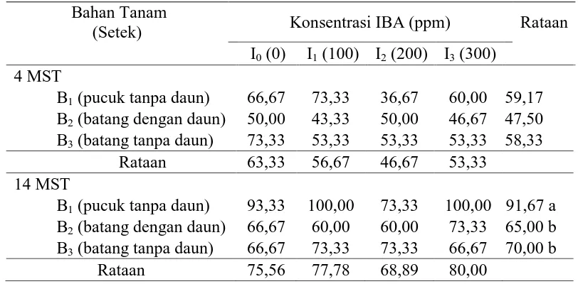 Tabel 3. Persentase setek hidup (%) jeruk nipis pada berbagai bahan tanam dan konsentrasi IBA umur 4 MST dan 14 MST 