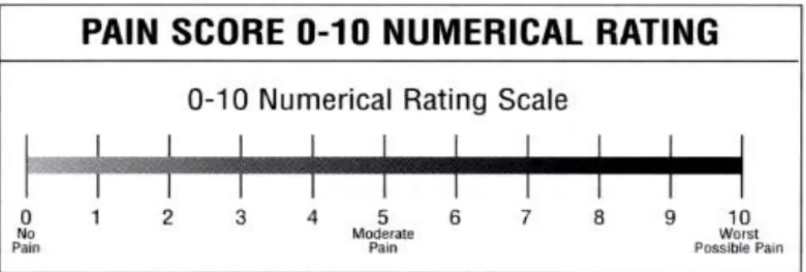 Gambar 2.4 Numerical Rating Scale