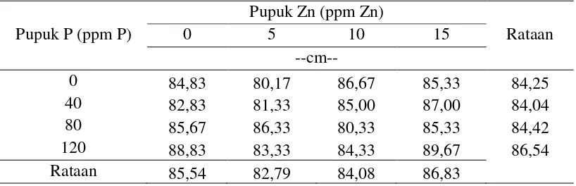 Tabel 4. Tinggi tanaman (cm) akibat pemberian pupuk P dan Zn dalam berbagai dosis 
