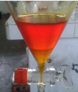 Gambar D.7 Pengeringan Biodiesel 