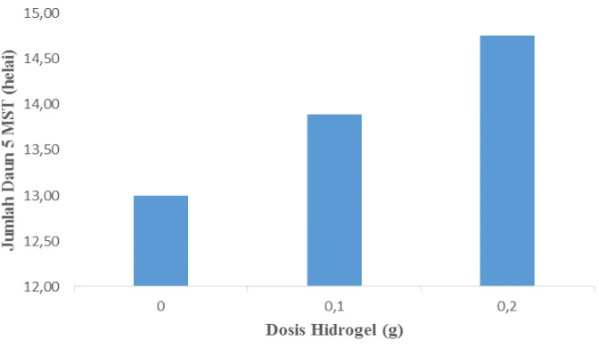 Gambar 1. Histogram hubungan jumlah daun per rumpun bawang merah umur 5 MST dengan dosis hidrogel  