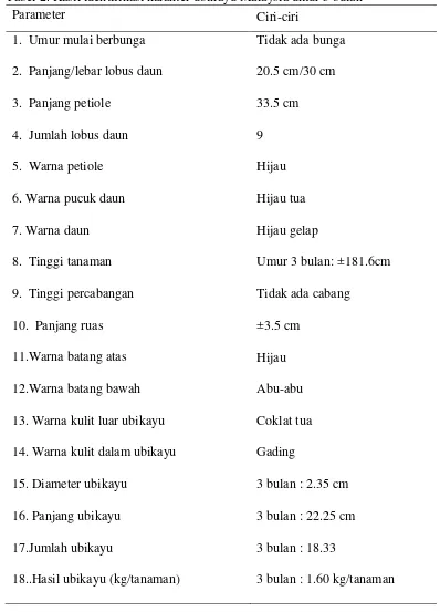Tabel 2. Hasil identifikasi karakter ubikayu Malaysia umur 3 bulan 