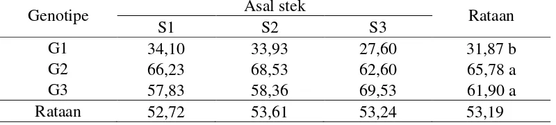 Tabel 5. Tinggi tanaman 4 MST (cm) dengan perlakuan genotipe dan asal stek 