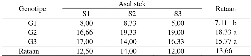Tabel 11. Jumlah ubikayu per pohon dengan perlakuan genotipe dan asal stek 