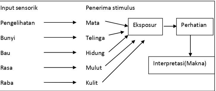 Gambar 1. Sekilas Proses Perseptual (Solmon, 1999) 