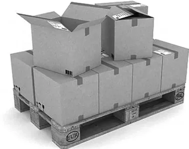 Figure  2.4 shows an example of goods within the pallet boundaries. 