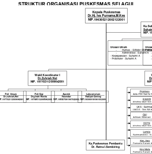 Gambar 3.2. Struktur Organisasi Puskesmas Sei Agul 