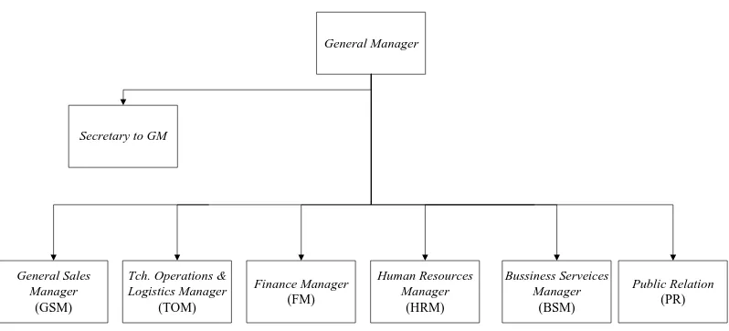 Gambar 2.1. Struktur Organisasi Perusahaan  