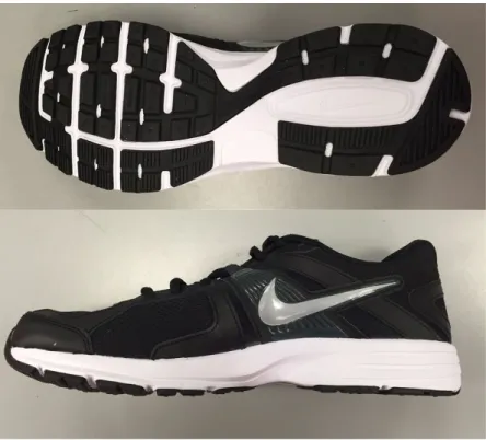 Figure 3: Nike Dart Running Shoe 