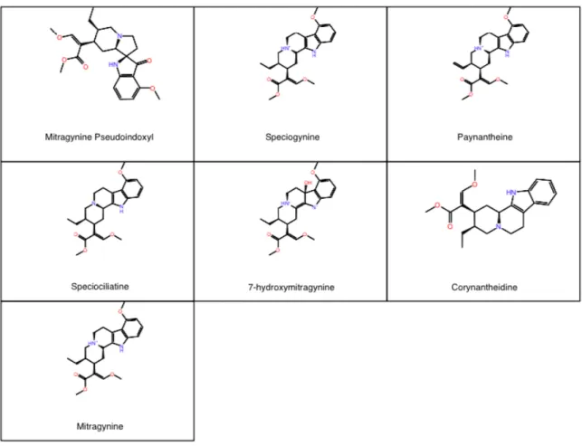 Figure 1: Structures of alkaloids found in the kratom plant chosen for this study 