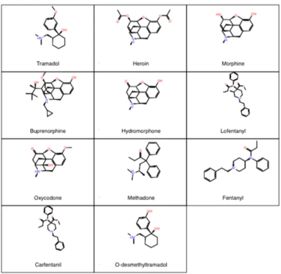 Figure 2: Structures of the opioid and opiate ligands chosen for this study  