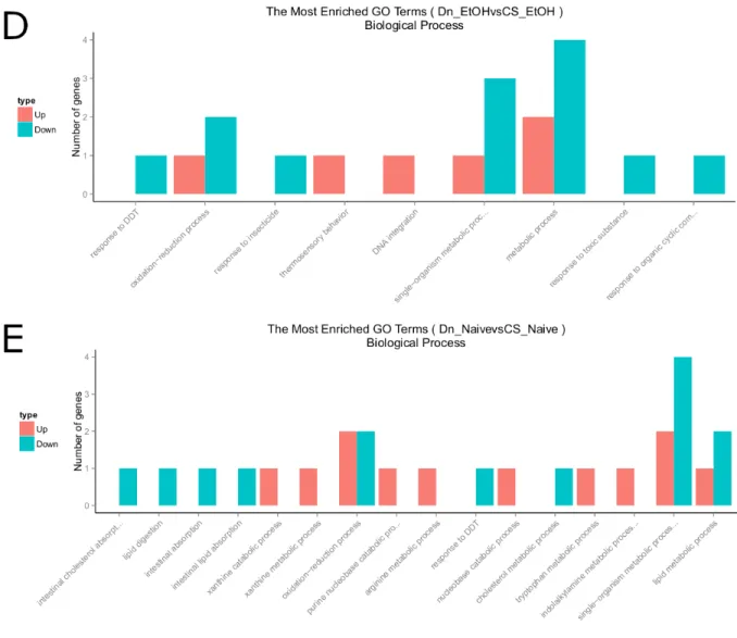 Figure 6. Gene ontology (GO) enrichment bar graphs of differentially expressed genes. 