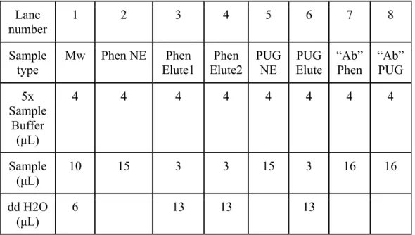 Table 3. Layout for SDS-PAGE sample preparation  Lane 