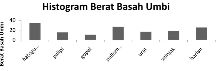 Gambar 6. Histogram berat kering umbi 