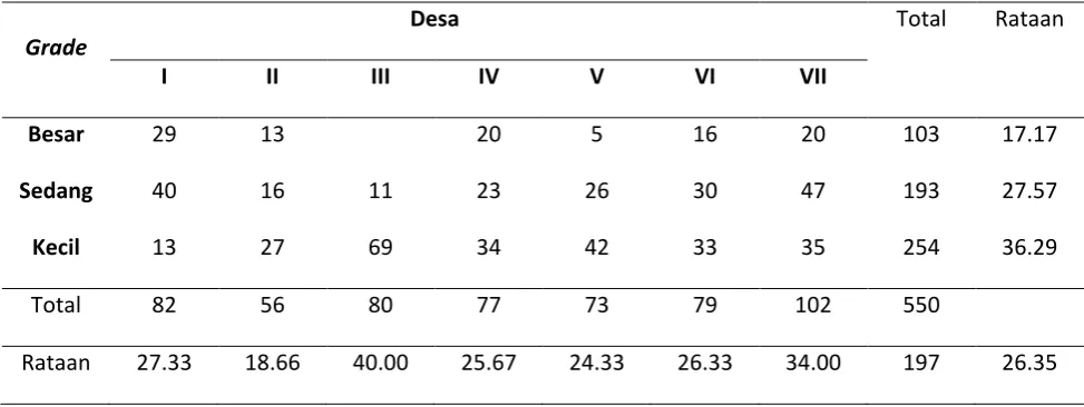 Tabel 5. Berat Umbi hasil grading (g) 