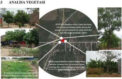 Gambar 4.8. Analisa Vegetasi 
