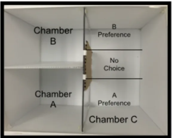 Figure 5: Mate Preference Apparatus
