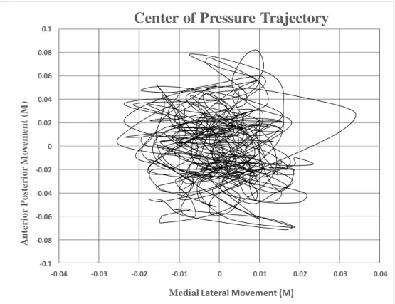 Figure 7. Center of Pressure Trace  