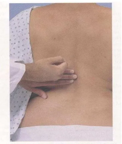 Gambar 9.   Palpasi  Aorta 