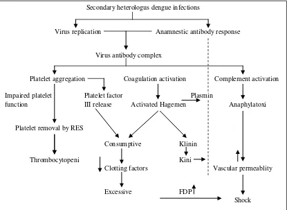 Gambar 2.1. Hipotesis secondary heterologus infections (Sumber: Suvatt 1977-dikutip dari Sumarmo, 1983)