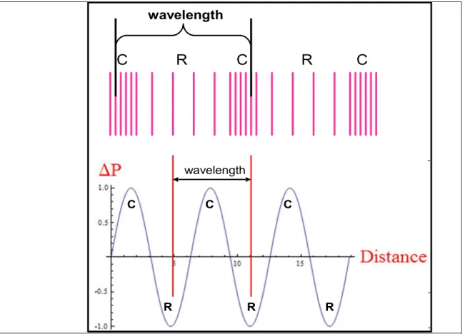 Figure 1:  These are two different representations of longitudinal waves. They each depict the  areas of compression (C) and rarefaction (R) which characterize the wave