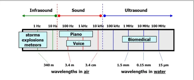 Figure 2: The acoustic spectrum. Humans can hear frequencies between 20 Hz and 20 kHz