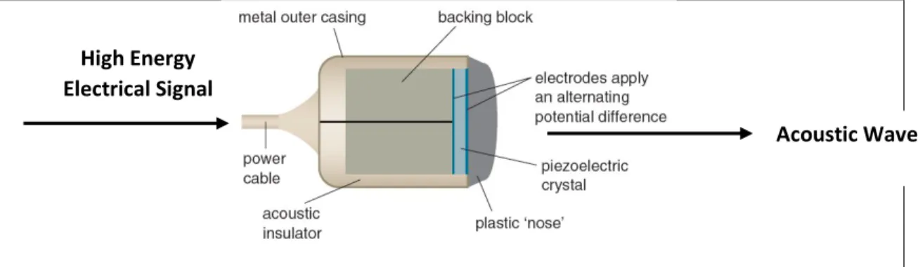 Figure 6: Diagram of the internal structure of a typical ultrasound transducer. A high energy  signal excites the piezoelectric crystal, which vibrates, producing an acoustic wave