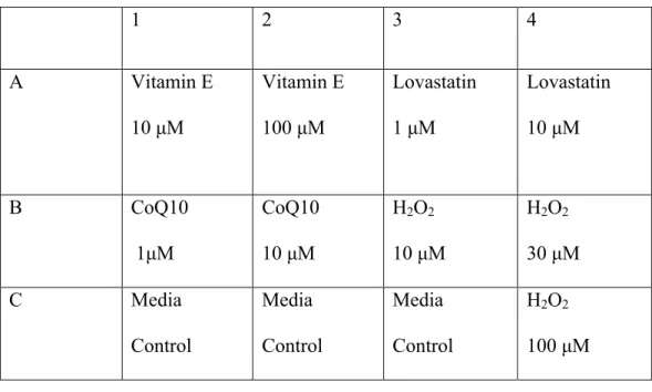 Table 1: 12-well plate layout for cell cultures treated with compounds 