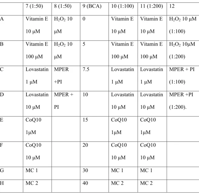 Table 4: Layout of 96-well plate for second BCA protein assay experiment  7 (1:50)  8 (1:50)  9 (BCA)  10 (1:100)  11 (1:200)  12 