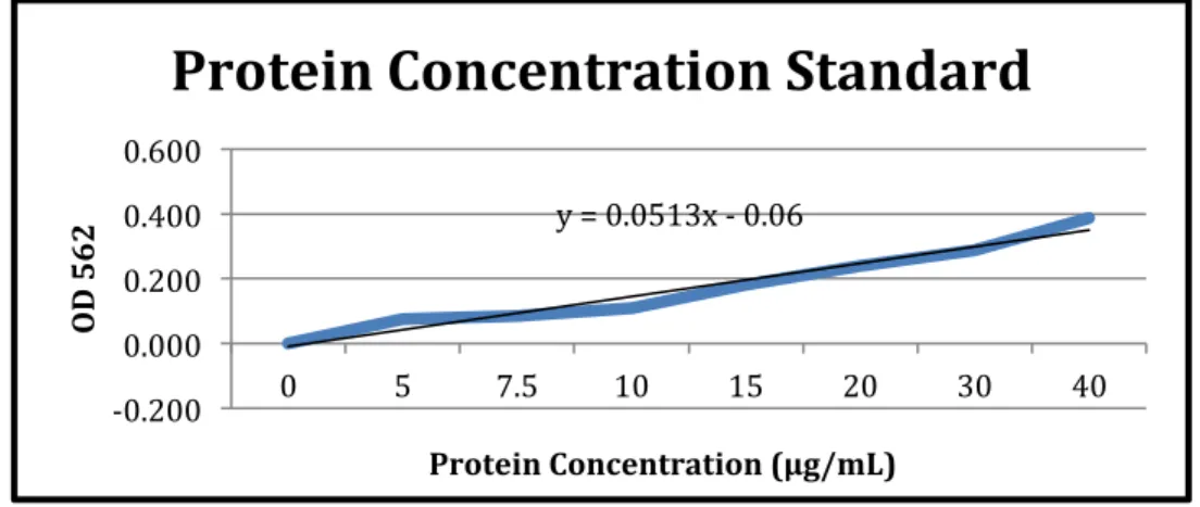 Figure 2: Protein concentration vs. OD 562 graph in second BCA protein assay 