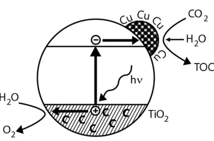 Figure  2.    TiO 2   catalyzes  the  photochemical  conversion  of  CO 2   to  organic  compounds  while Cu and carbon-doping enhance the process through electron transfer and band gap  reduction
