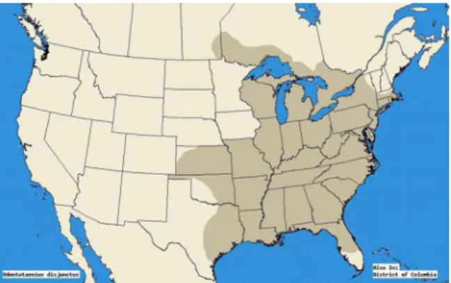 Figure 2. Distribution of the horned passalus in the United States