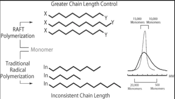 Figure 1.  Difference in chain length control and PDI for polymerization via RAFT  polymerization compared to Traditional Radical Polymerization  [4] 