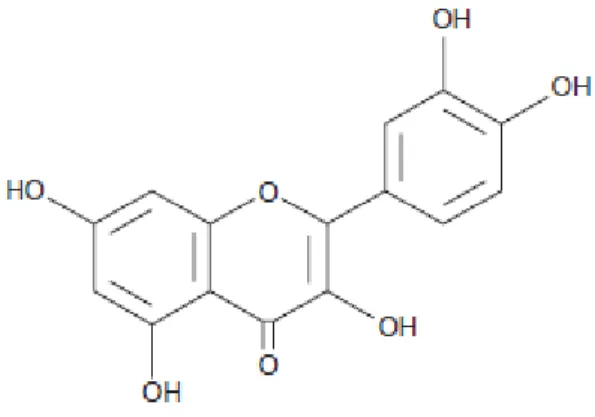Figure 5. Quercetin Structure 