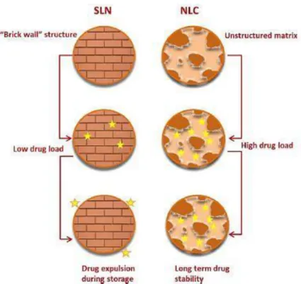 Figure 15. Advantages of NLC Structure over SLN Structure 