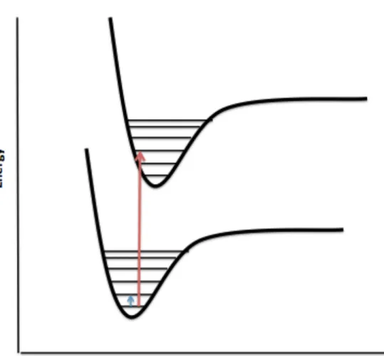 Figure 2.2.2 – Potential Energy Diagram 