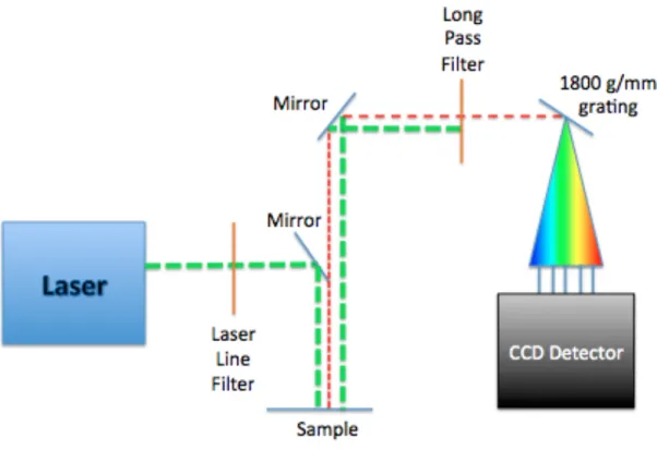 Figure 3.1.1 shows the outline of a typical Raman spectrometer.   