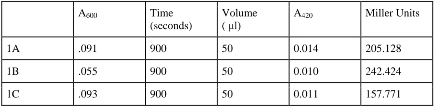Table 4: Control measurement of beta-galactosidase activity in plac290 vectors.  